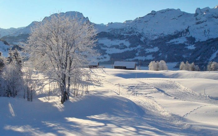 Oberberg Mythenregion: Langlauf im Herzen der Schweiz