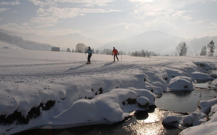 Finnenloipe Rothenturm: das grösste Schweizer Hochmoor im Winter erkunden