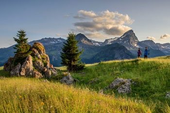 Naturschutzgebiete in der Schweiz: Vielfalt für den Naturschutz