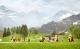Alpaka Trekking in der Schweiz: Märchenhotel Braunwald