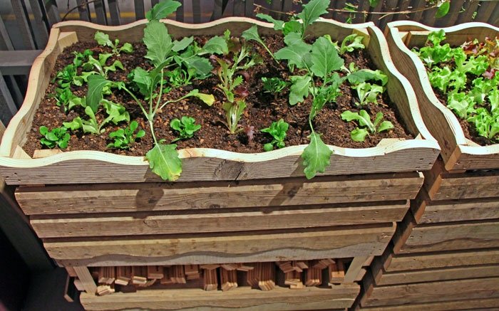 Hochbeet bauen: Aus Kisten oder Latten einen Nutzgarten machen