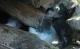 Ausflugsziele der Schweiz: Die grössten unterirdischen Wasserfälle der Welt