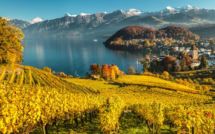 Herbstwanderungen: Spiez im Berner Oberland