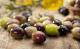 Oliven als Alternative für Avocados