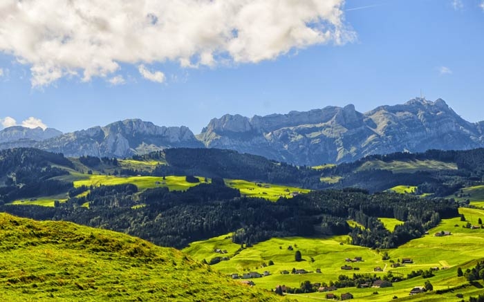 Typische Landschaft im Appenzell mit Hügeln, Weideland und Streusiedlungen