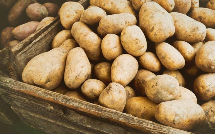 Wasserverbrauch von Lebensmitteln: Kartoffel