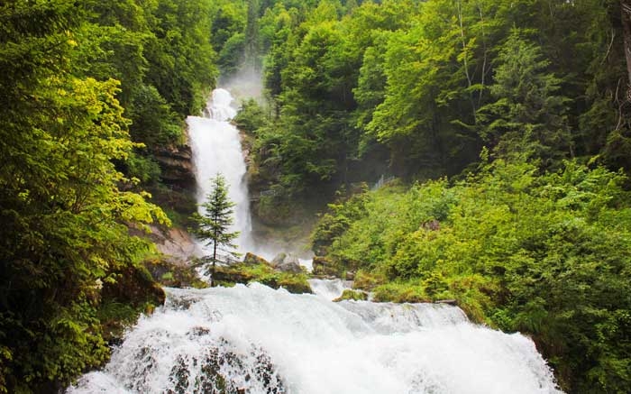 Giessbachfälle: Den einmaligern Wasserfall am Brienzersee beim Wandern entdecken