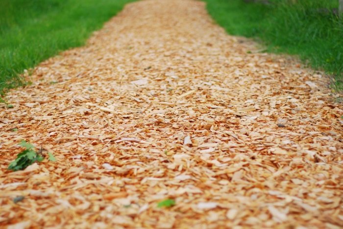 Barriere mit Holzspänen hilft gegen Schnecken    Auch Holzspäne können als natürliche Barriere für Schnecken im Biogarten dienen. Diese überqueren die Schädlinge genau so ungern wie den ausgetrockneten Kaffeesatz. Foto © MarkJPEG / iStock / Thinkstock  