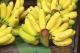 Exotische Früchte: Bananen