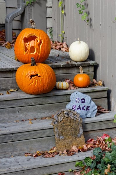 Zusammen mit anderen gruseligen Dekorationen kannst du dein Haus mit der Bio-Kürbislaterne perfekt auf Halloween einstimmen. Foto: © janniswerner / Fotolia.com  