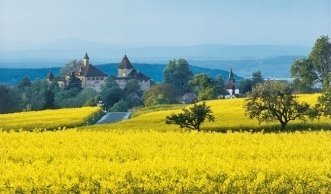Region Zürich: Bio-Bauernhöfe zum Einkaufen und Erleben