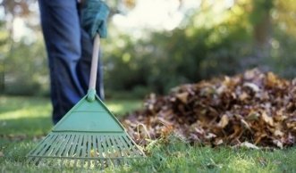 Gesunde Rasenpflege im Herbst: Jetzt den Rasen erneuern