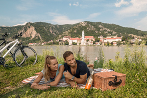 Ein Paar mit Picknickkorb am Donauufer