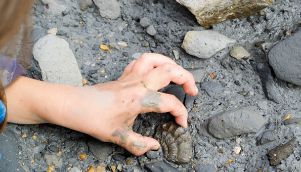Kind findet Fossil im Steinbruch