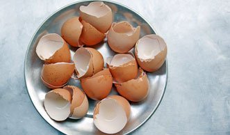 7 Gründe, warum du Eierschalen nie wieder wegwerfen solltest