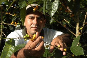 Faire Preise: Fair Trade hilft vielen Bauern.