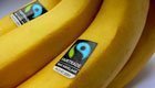 Bananen mit Fair Trade Siegel: garantiert fair gehandelt.
