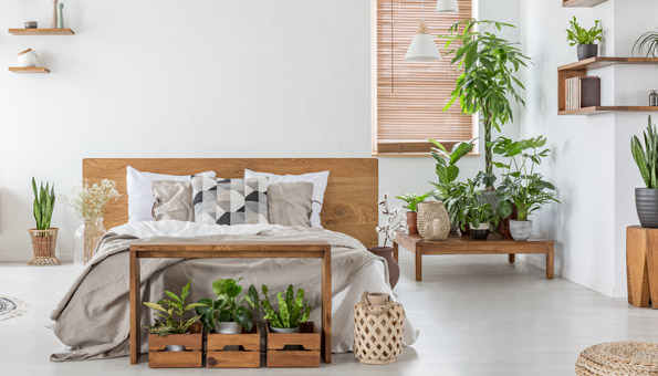 Pflanzen im Schlafzimmer: Die Top 6 für gesunde Nachtruhe
