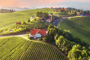 Tradition erleben: Entdecke 4 der schönsten Weingüter Österreichs
