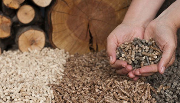 Holz ist eine bedeutsame Art von Biomasse in der Schweiz