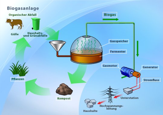 Biomasse liefert umweltfreundlichen Strom aus Abfällen