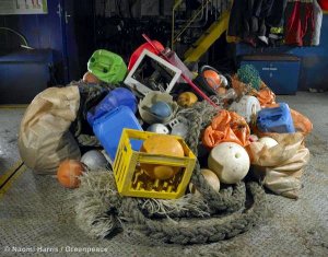 Plastik im Meer: Gefahr für ein ganzes Ökosystem