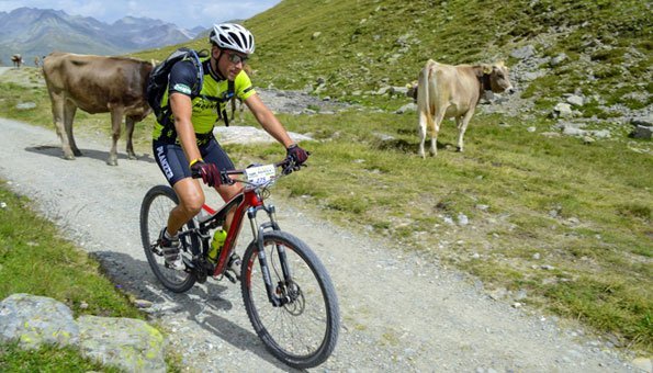 Mountainbiker und Kuh