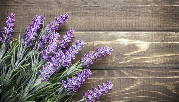 Lavendel in der Küche und seine Wirkung auf Psyche, Haut und Gesundheit