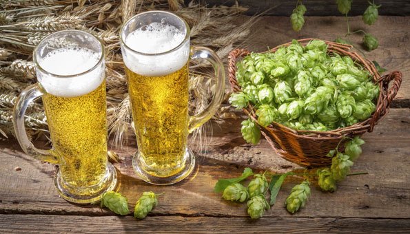 Bio-Bier: Was bei der Bier-Herstellung hier anders ist