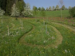 Ein Baumkreislabyrinth bringt dem Besucher die verschiedenen Obstsorten näher.
