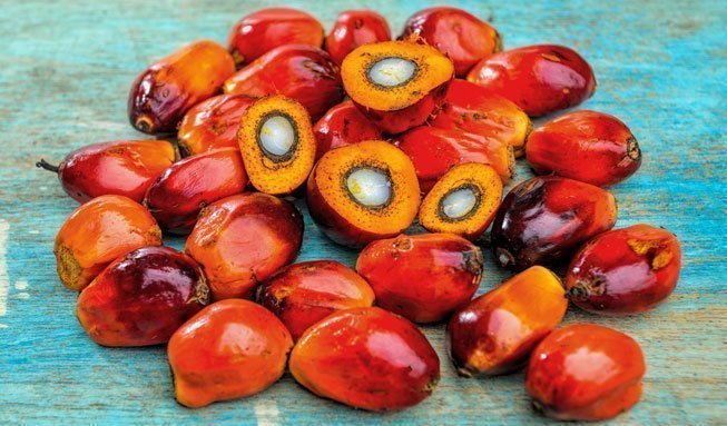 Warum Palmöl-Alternativen oft auch nicht besser sind