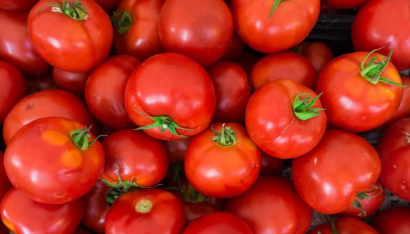 Strom aus Tomaten: Abfälle erzeugen bald nachhaltige Energie 