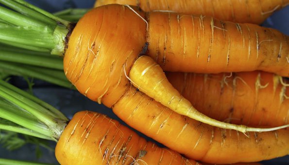 Coop gibt missgestaltetem «Ünique»-Gemüse eine Chance