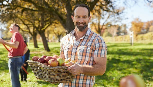 Vergolden Sie Food Waste mit selbst gepflückten Äpfeln