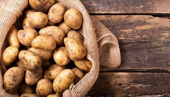 Kartoffeln lagern: So bleiben sie am längsten frisch