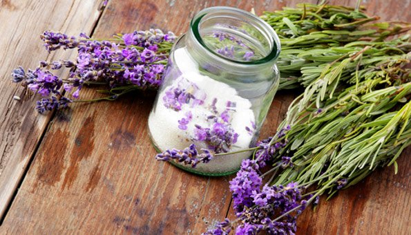 Die Wirkung von Lavendel auch in der Küche nutzen