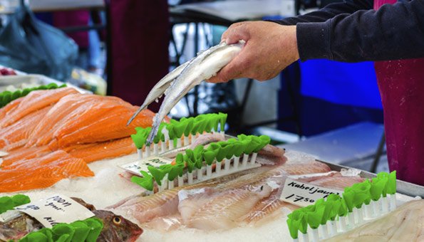 Bio-Fisch gewinnt in der Schweiz an Beliebtheit.