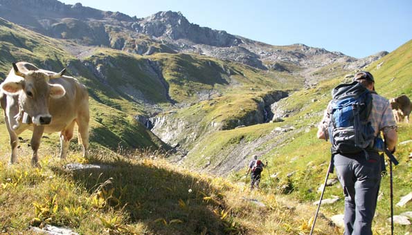 Vier-Quellen-Weg im Gotthardmassiv: Wandern zu Quellen unserer Flüsse