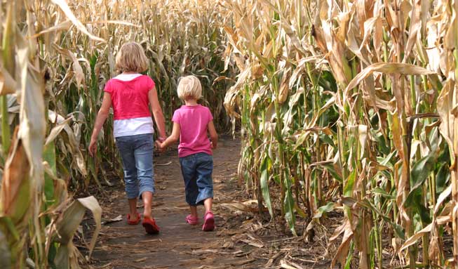 Erkunde die spannendsten Maislabyrinthe