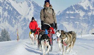 Mit Hundestärken durch die Natur: Husky-Schlittenfahrten in der Schweiz