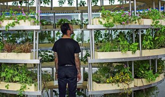 Urban Gardening auf kleinstem Raum: Der geniale Growroom