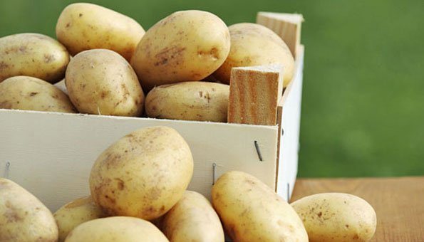 Kartoffeln ernten und lagern: So macht man es richtig