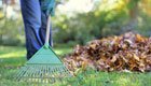 Gesunde Rasenpflege im Herbst: Jetzt den Rasen erneuern
