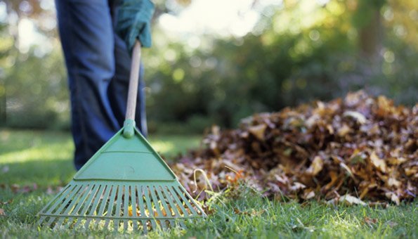 Rasenpflege im Herbst: Jetzt Rasen erneuern