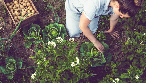 Garten-Sharing: So einfach leihen Sie sich einen Garten