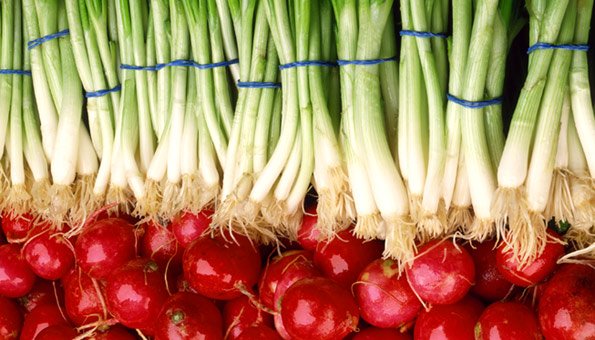 Vertragslandwirtschaft Schweiz: Nachhaltige Lebensmittel und Gemüseabo