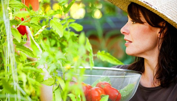 Fit und Gesund durch gesunde Ernährung aus dem Bio-Garten.