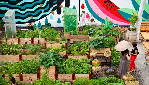 Urban Gardening: Urbaner Gartenbau erobert die Stadt