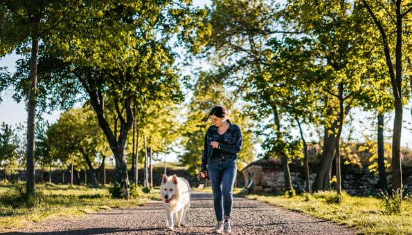 Eine Frau geht in der Sonne mit Hund spazieren