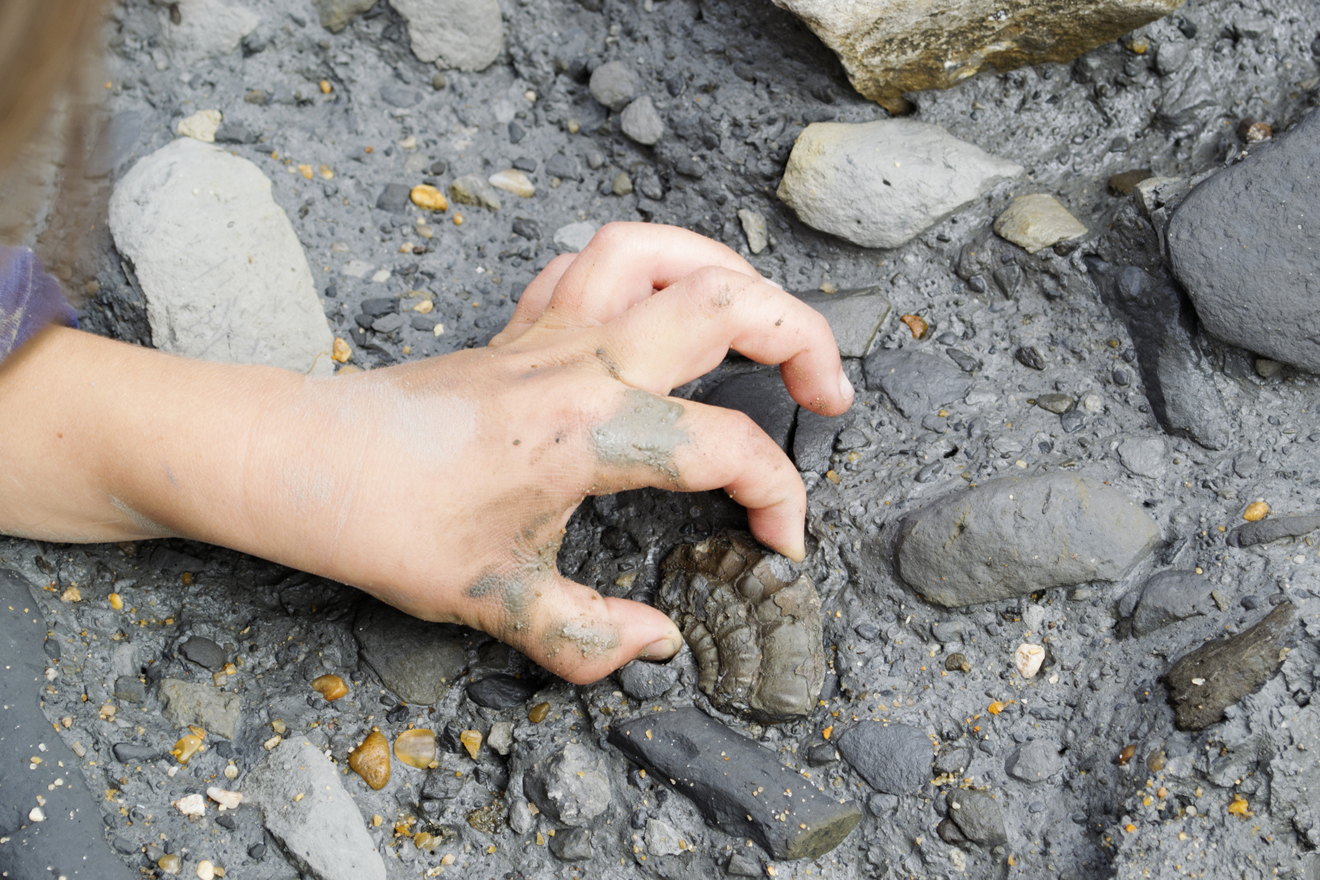 Kind findet Fossil im Steinbruch